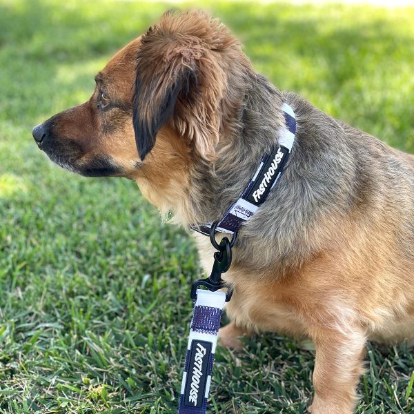 Clifford Dog Leash - Stripes Sale - Image 4